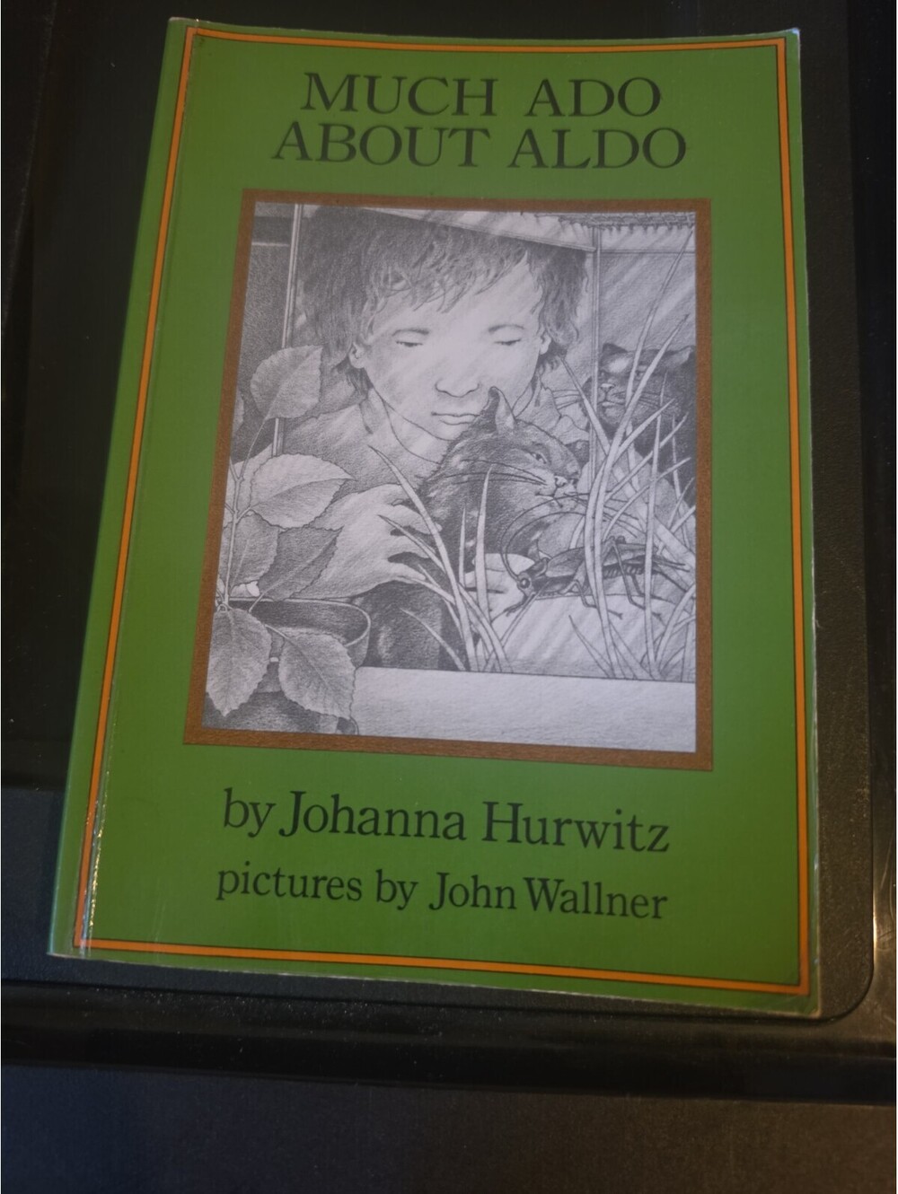 Much Ado About Aldo - Library Binding By Hurwitz, Johanna - GOOD